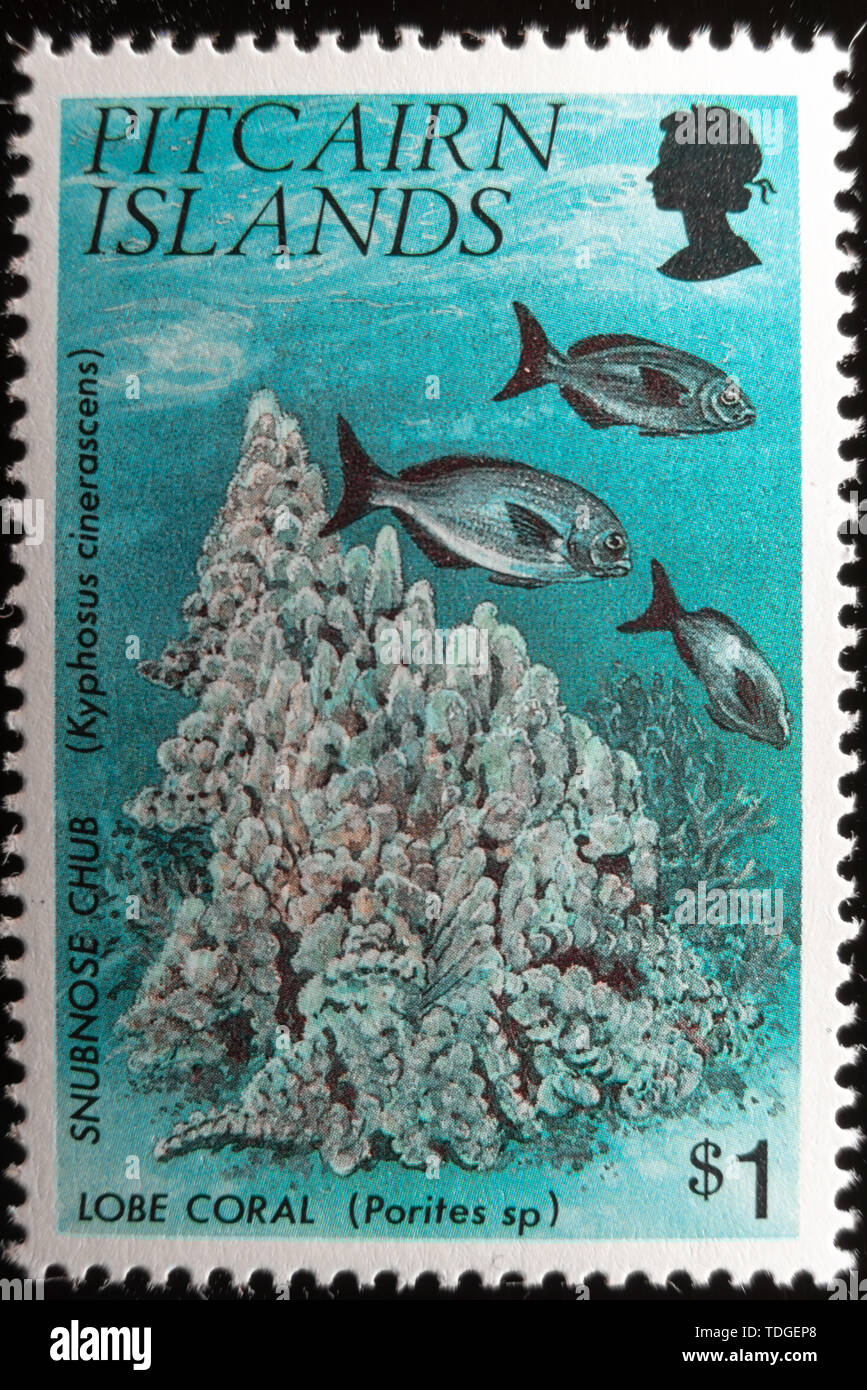 A macro image of a commemorative Pitcairn Islands $1 1994 Corals Stamp Stock Photo