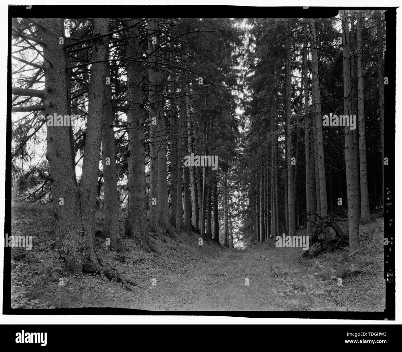 Laura spelman rockefeller hi-res stock photography and images - Alamy