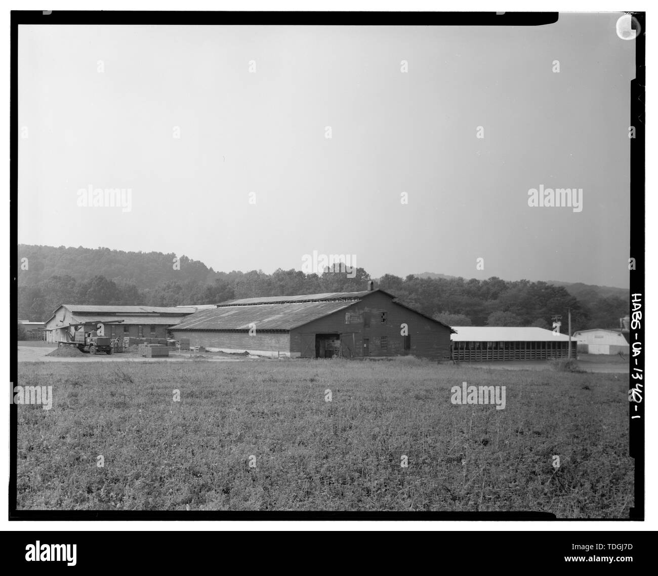 Livestock market Black and White Stock Photos & Images Alamy