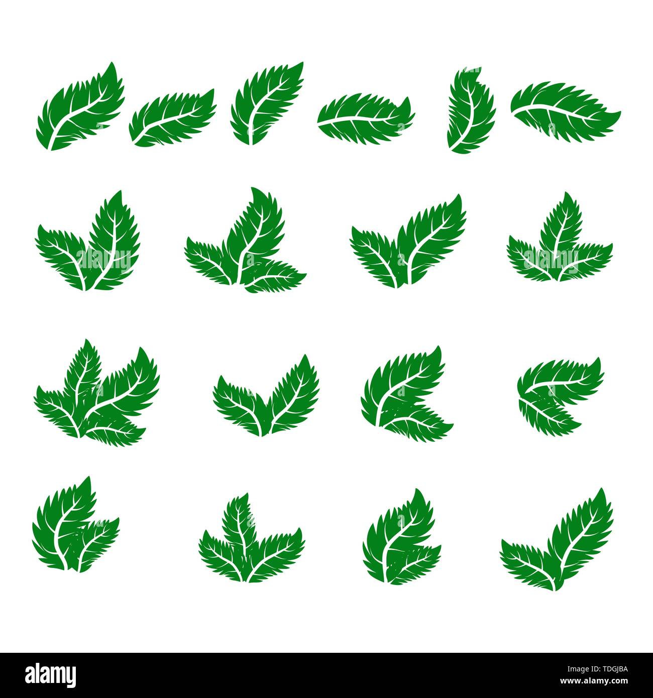 green leaf icons set on white background Stock Vector Image & Art - Alamy