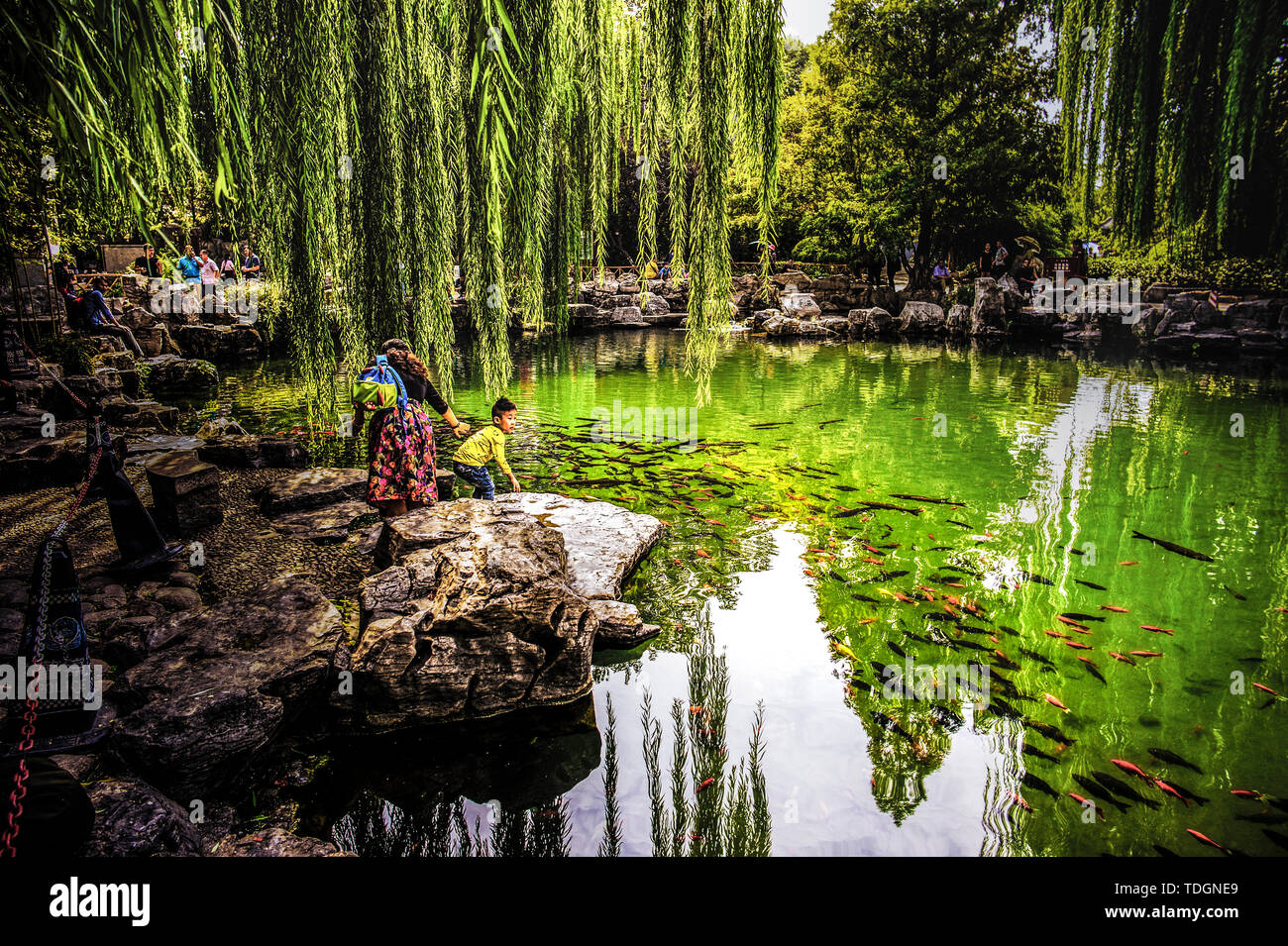 Rivers fish hi-res stock photography and images - Alamy