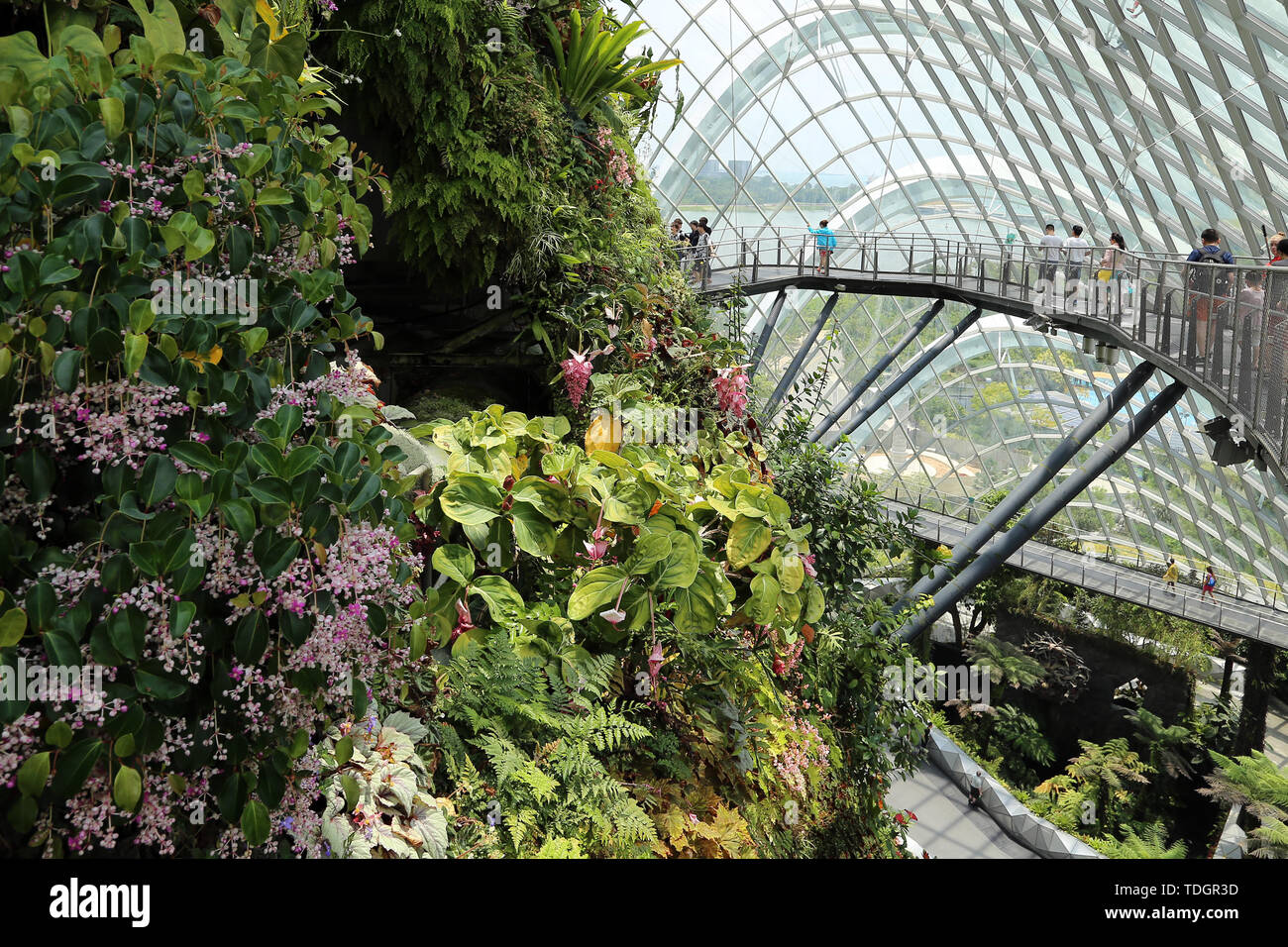 Marina Bay Garden, Singapore Stock Photo