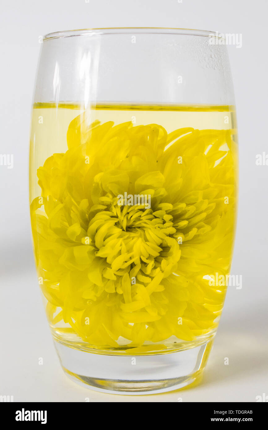 Fire tea, chrysanthemum tea Stock Photo - Alamy