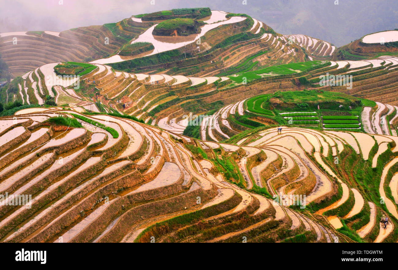 The dragon ridge terraces in Guangxi are picturesque Stock Photo - Alamy