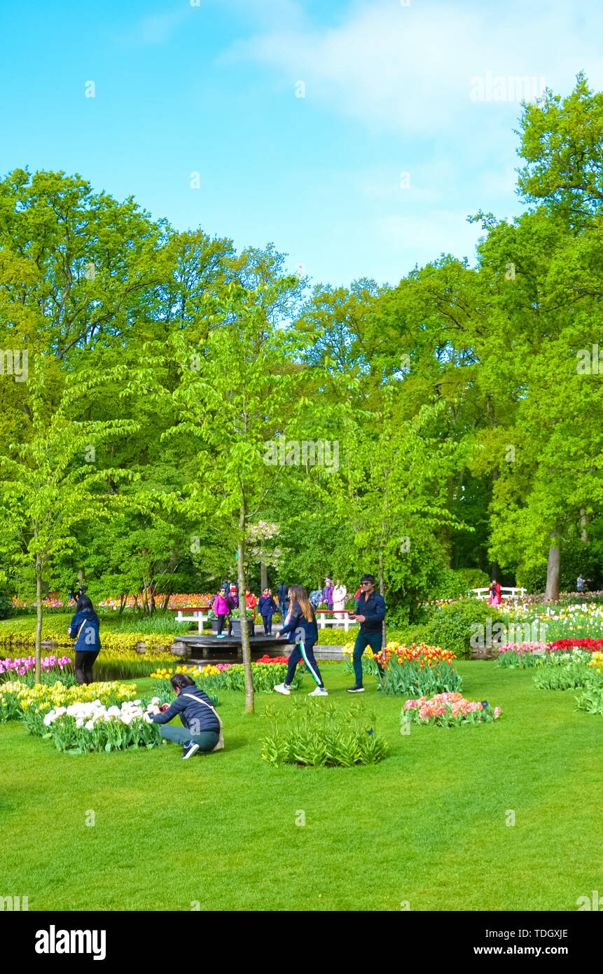 Keukenhof, Lisse, Netherlands - Apr 28th 2019: Visitors walking in amazing Keukenhof gardens during spring. Green trees and beautiful colorful flowers, typically Holland tulips. Dutch Tourist spot. Stock Photo