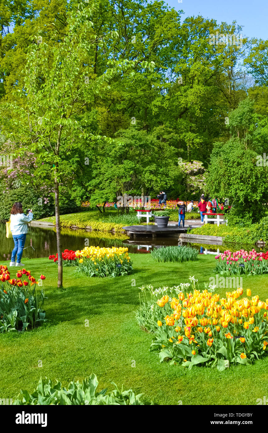 Keukenhof, Lisse, Netherlands - Apr 28th 2019: Visitors taking pictures of marvelous Keukenhof gardens in spring. Famous Dutch tourist park with green trees and colorful tulips. Travel spot. Stock Photo
