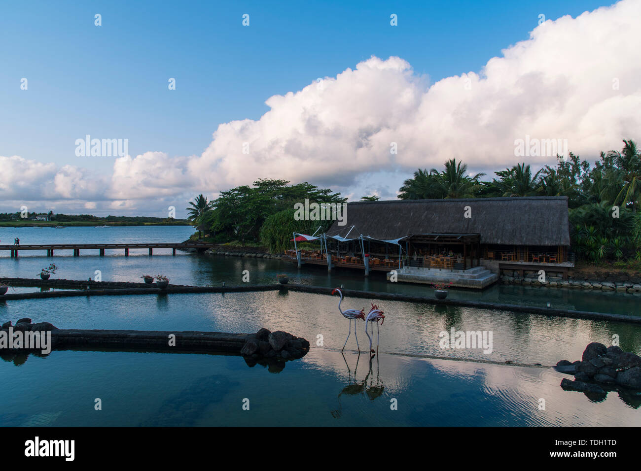 Anahita mauritius hi-res stock photography and images - Alamy