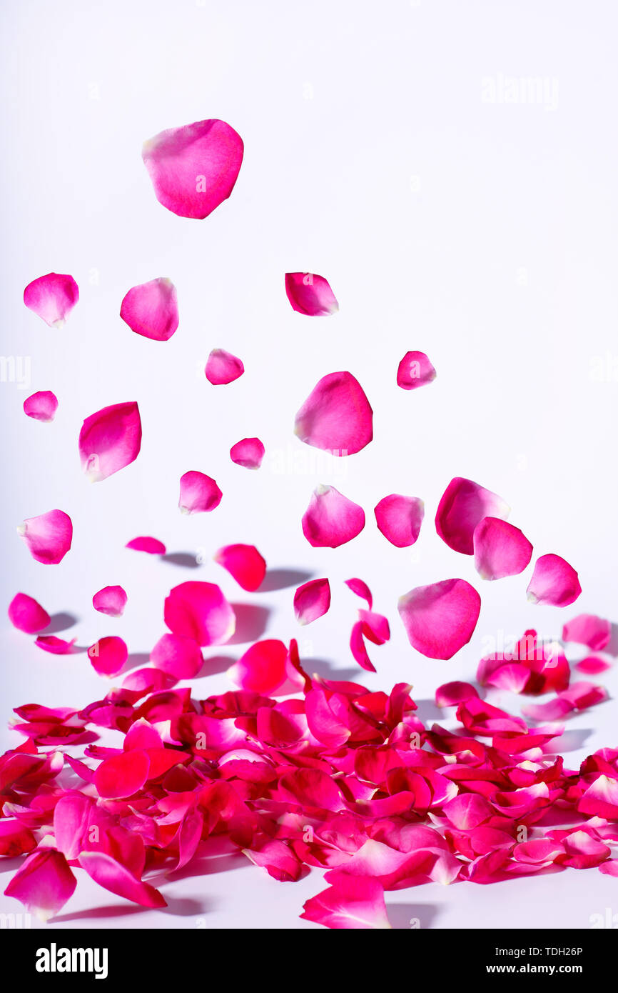 Flower Falling Background