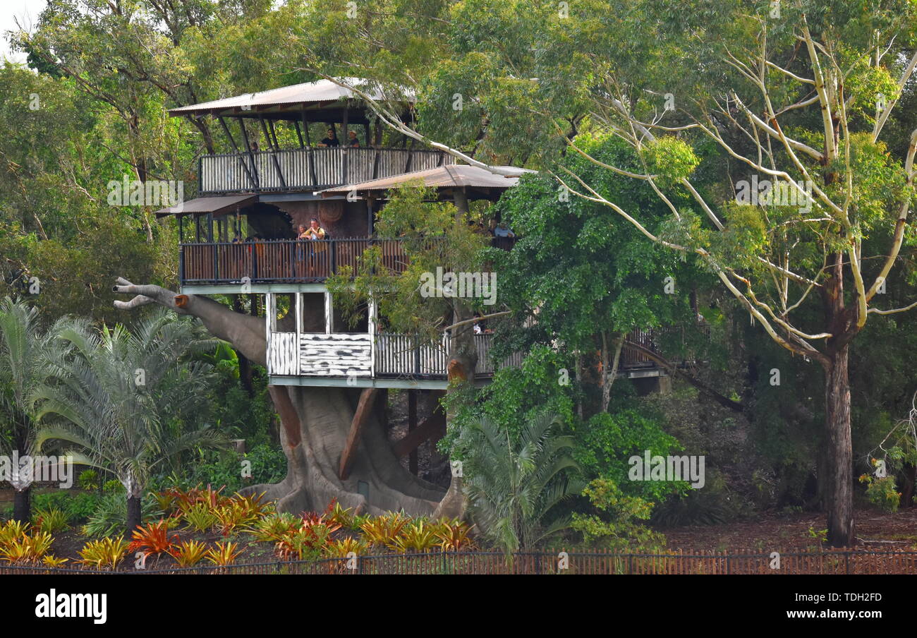 Beerwah, Australia - Apr 22, 2019. Bindi's Island is a three-story treehouse built around a replica fig tree. It offers panoramic views of Australia Z Stock Photo