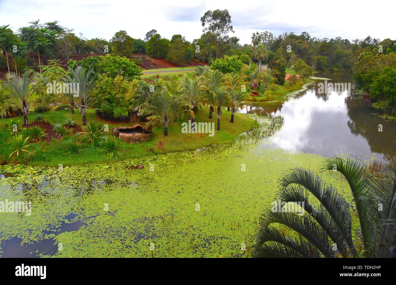 Beerwah, Australia - Apr 22, 2019. Bindi's Island is a three-story treehouse built around a replica fig tree. It offers panoramic views of Australia Z Stock Photo