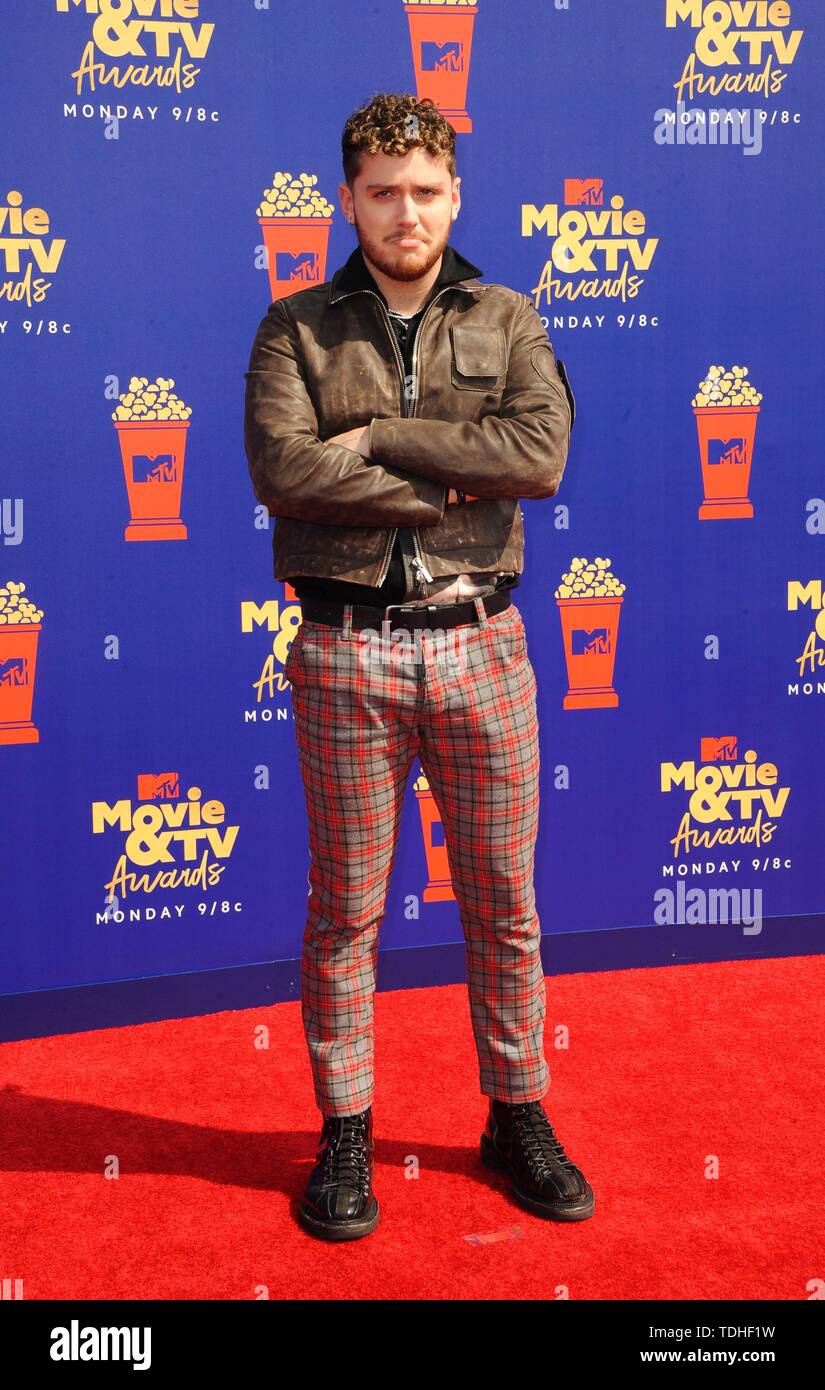 Los Angeles, CA, USA. 15th June, 2019. Bazzi at arrivals for 2019 MTV
