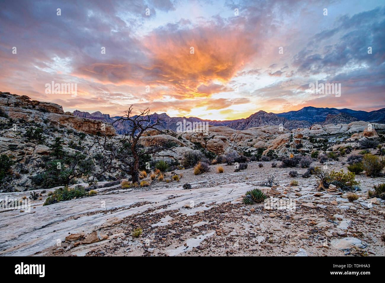The Red Rock Canyon National Conservation Area near Las Vegas Stock ...