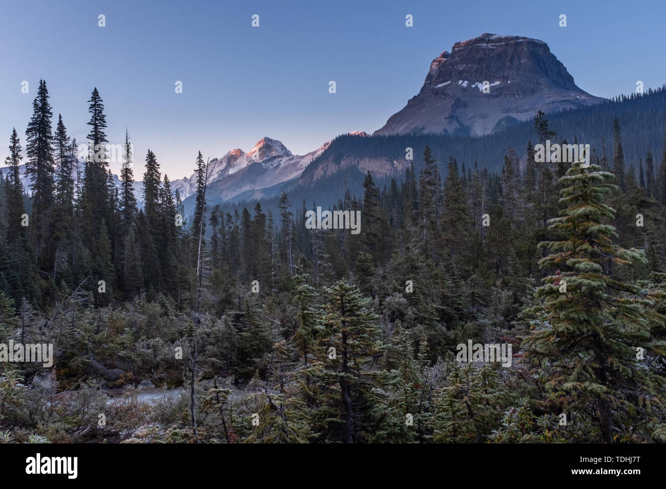 A stunning early morning view of majestic Cathedral Mountain near the Takakkaw Falls in Yoho National Park, against a bright blue sky. Stock Photo