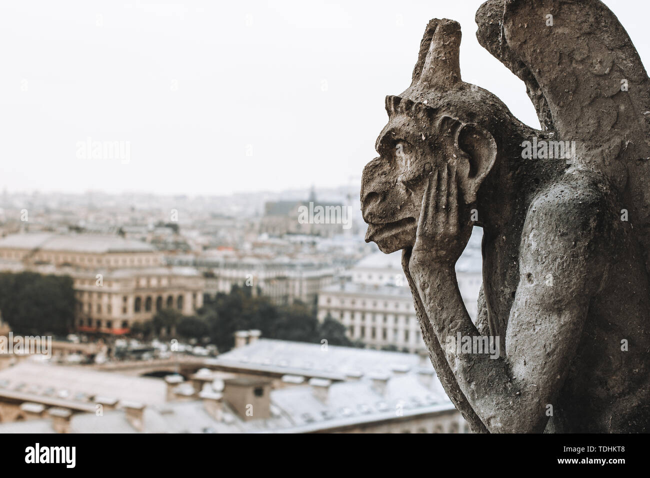 Thinking figure called Chimera in Paris France from Bell tower of Basilica of Notre Dame Stock Photo