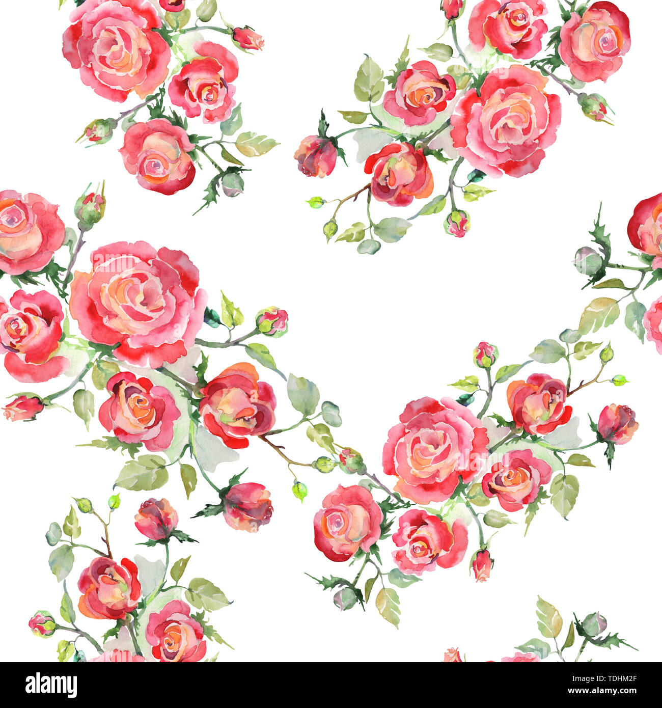 Seamless pattern of watercolor red roses. Illustration of flowers