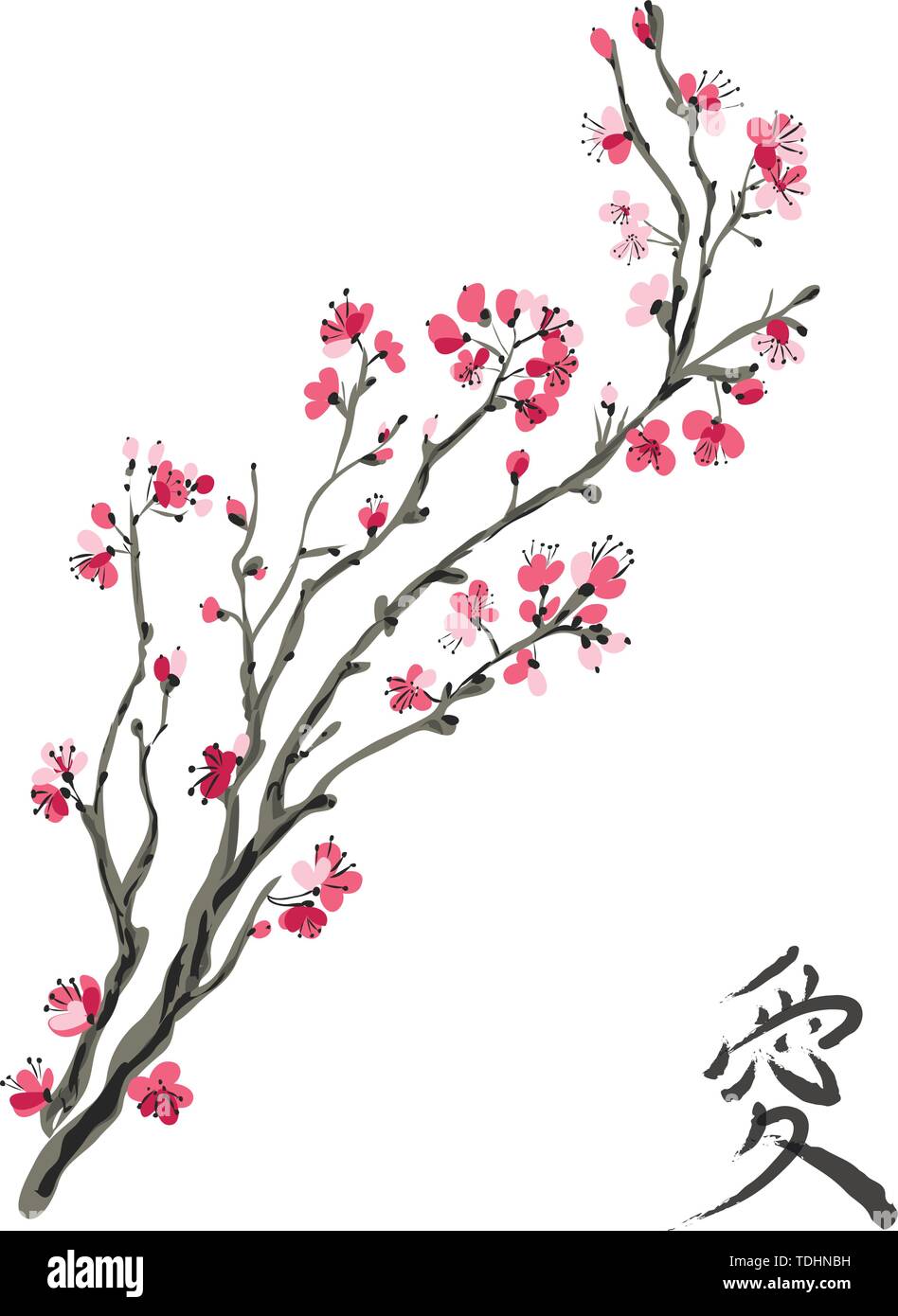 real cherry blossom tree branch