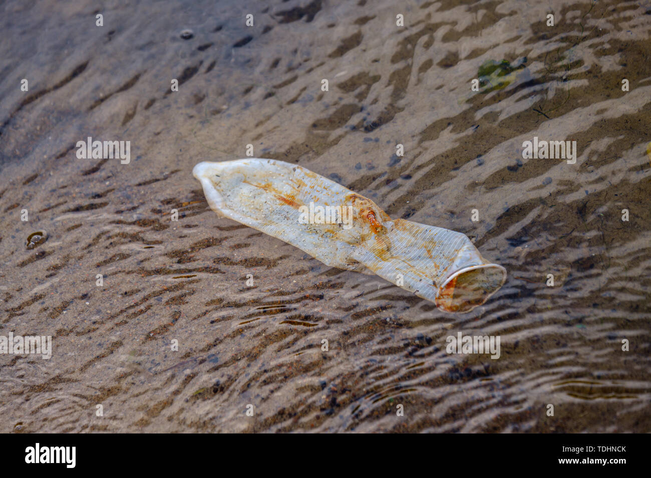 used condom left in water near shore on the beach in summer. water pollution Stock Photo