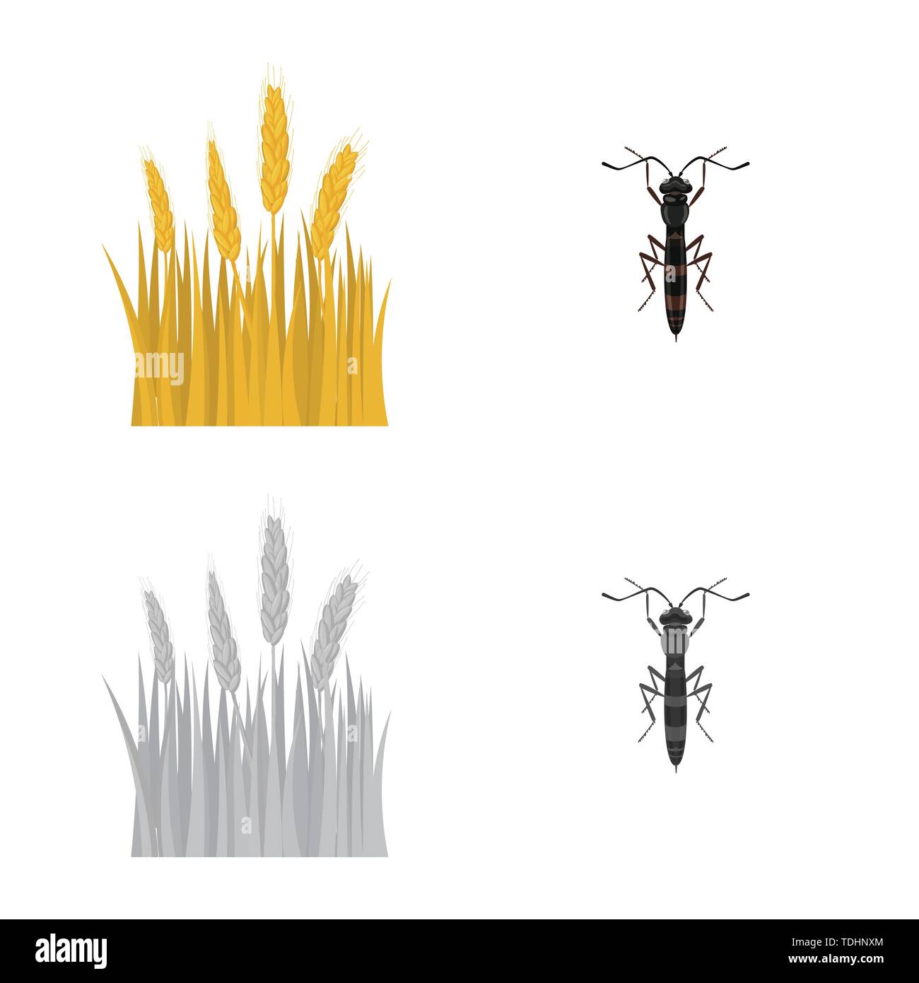 spring,fly,spike,insect,barley,pest,land,control,cornfield,stop,crop ...