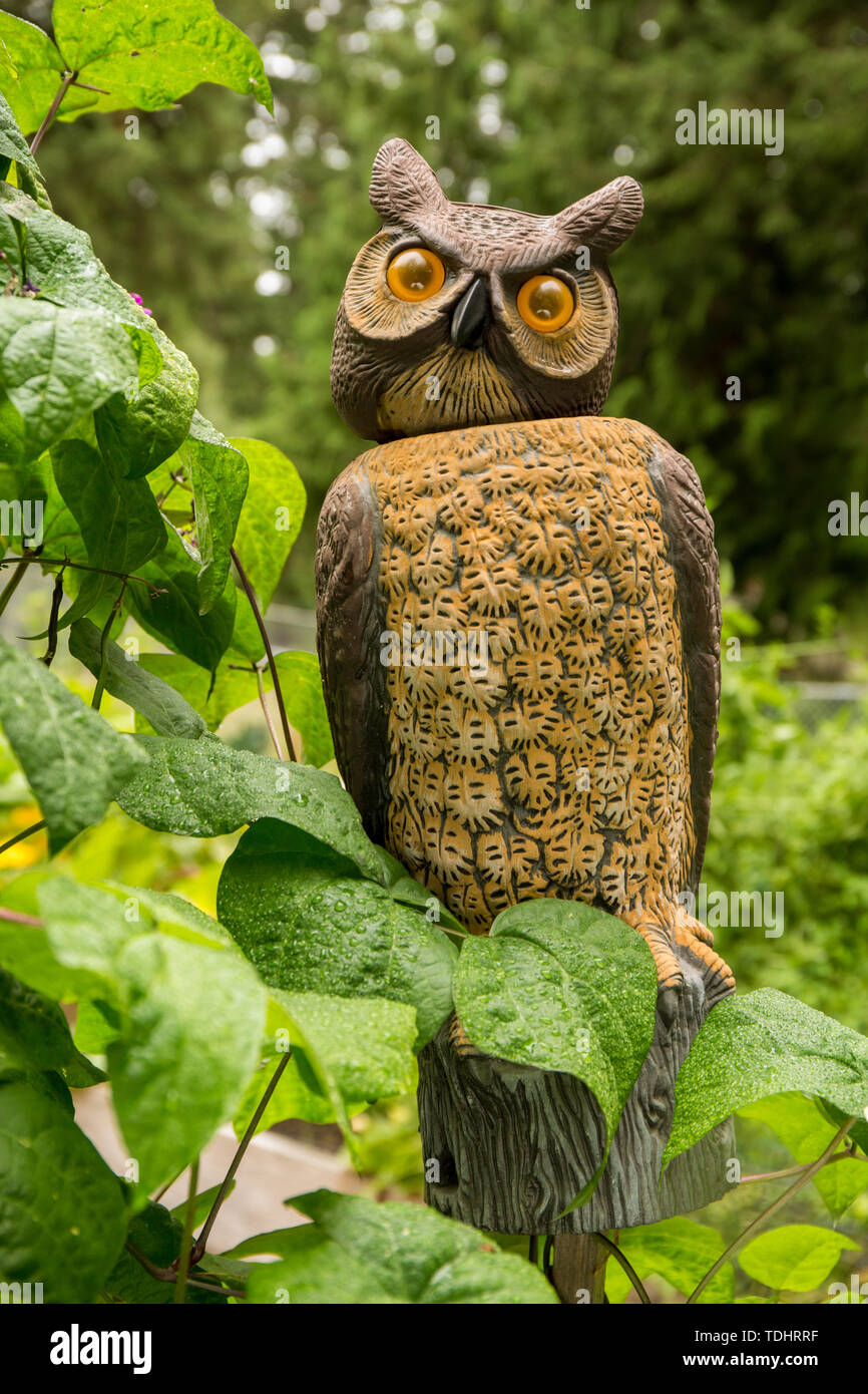 Owl Statue High Resolution Stock Photography and Images Alamy