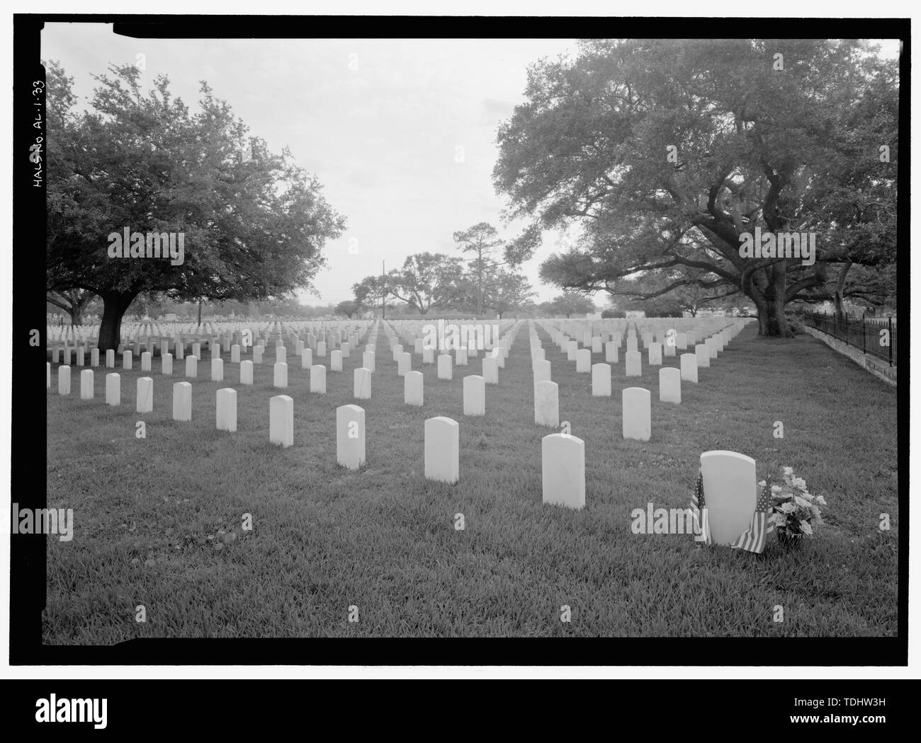 OVERALL VIEW OF SECTIONS 58 IN SOUTHEAST SECTION OF CEMETERY. VIEW TO EAST. Mobile National