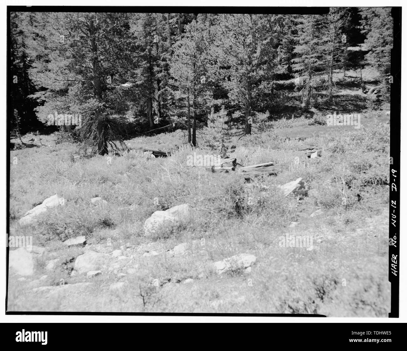 Glenbrook hi-res stock photography and images - Page 3 - Alamy, image size:1300x1124