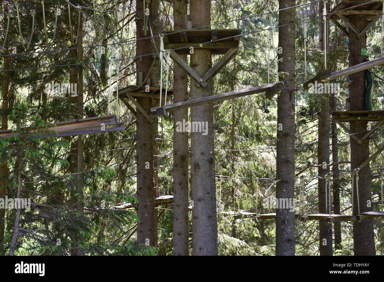 Saalbach-Hinterglemm, Wald, Kletterpark, Seil, Steg, Sport, sportlich,  Salzburg, Baum, Wald, Baumstamm, Plattform, Sicherung, Seile, klettern,  Brett Stock Photo - Alamy