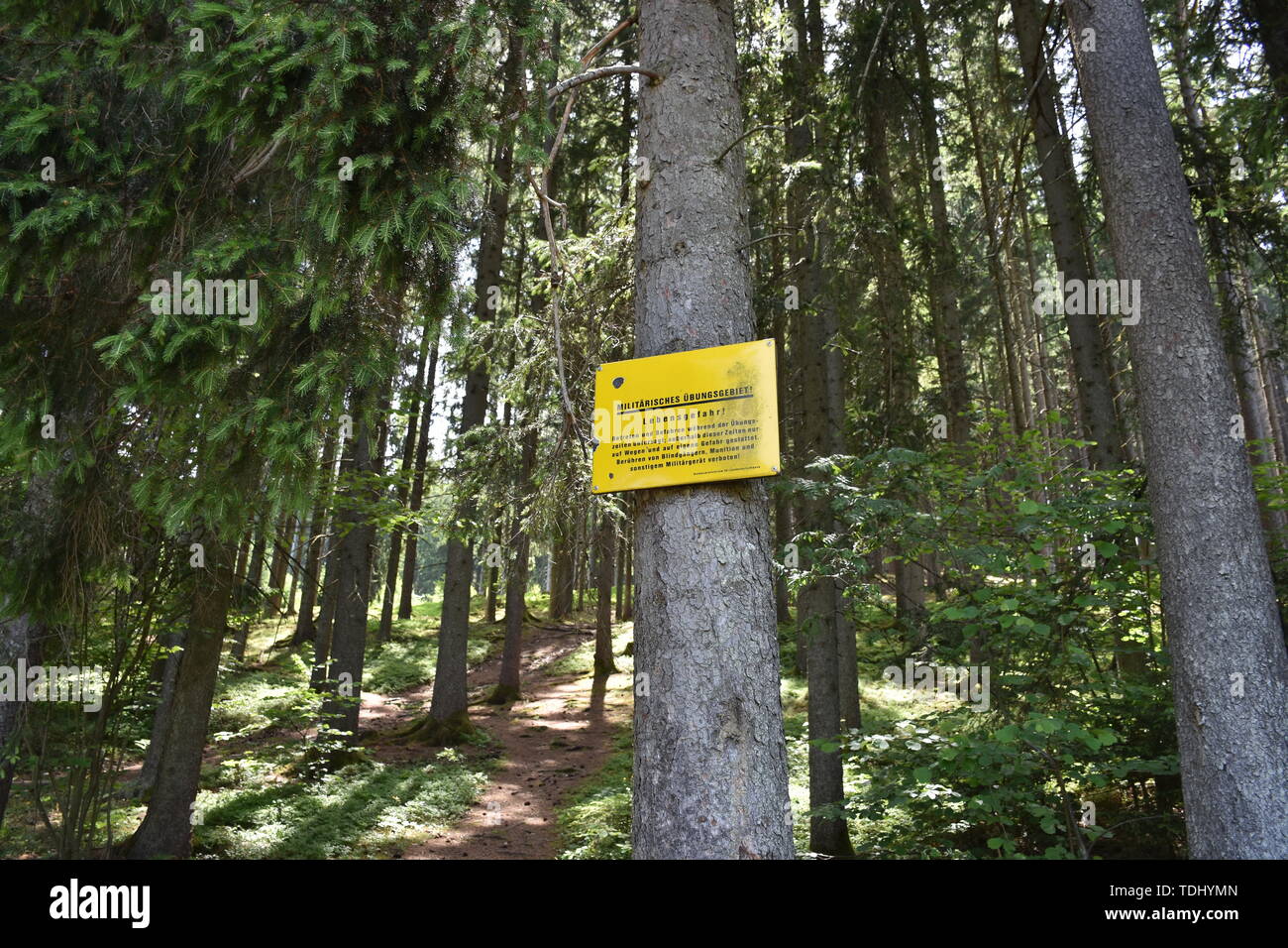 Militär, Bundesheer, Heer, Übungsgebiet, Lebensgefahr, Wappen, Österreich, gesperrt, Wald, Betreten verboten, Befahren verboten, Blindgänger, Munition Stock Photo