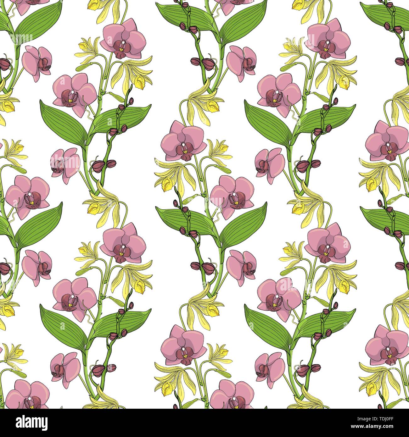 Seamless pattern with orchid flowers, nature floral background, stock ...
