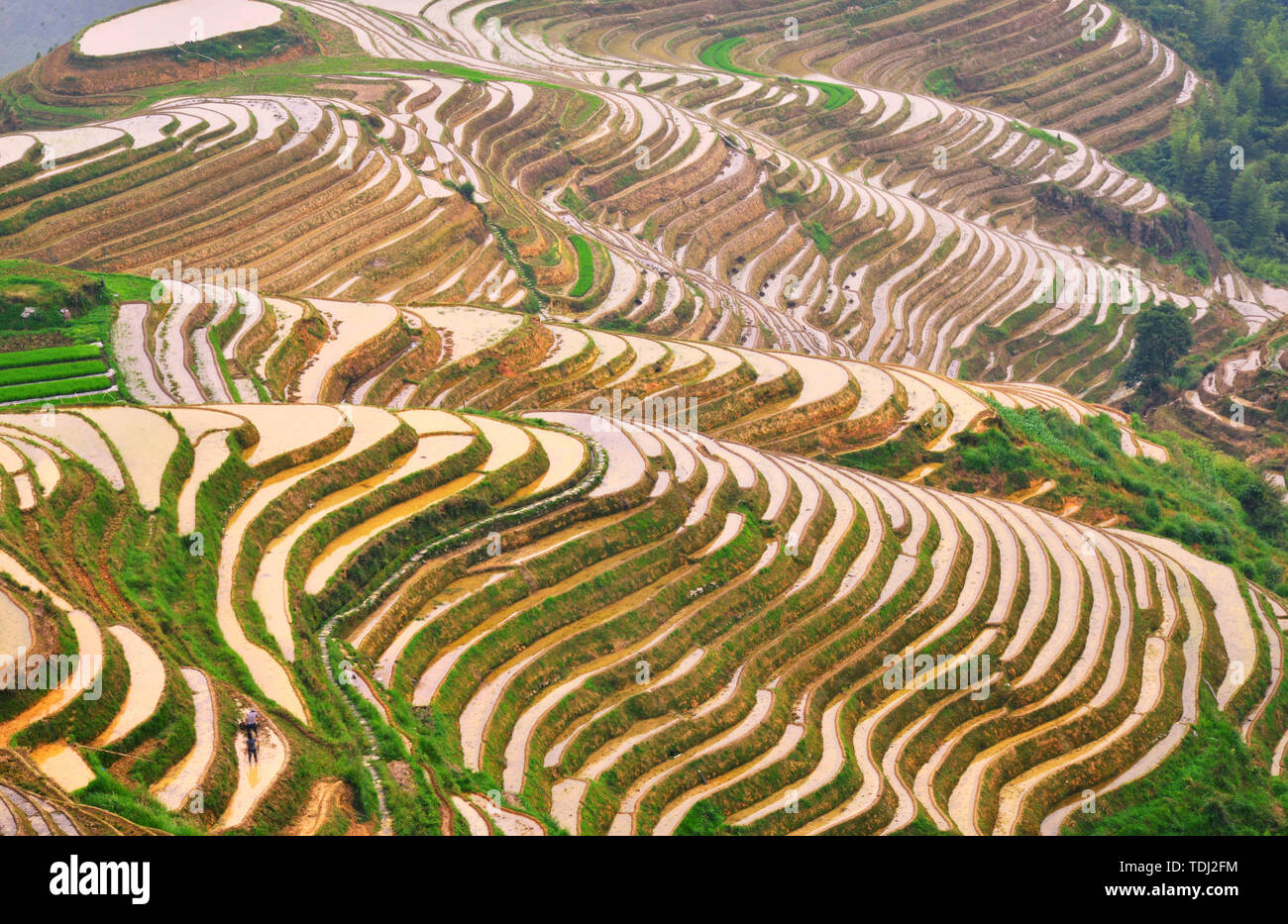 The dragon ridge terraces in Guangxi are picturesque Stock Photo - Alamy