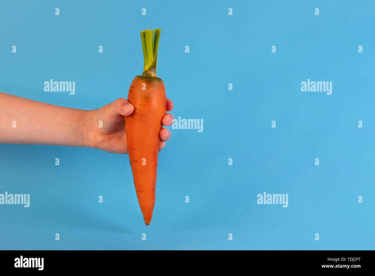 Child hand holding raw carrot front view. Fresh vegetable with carotene