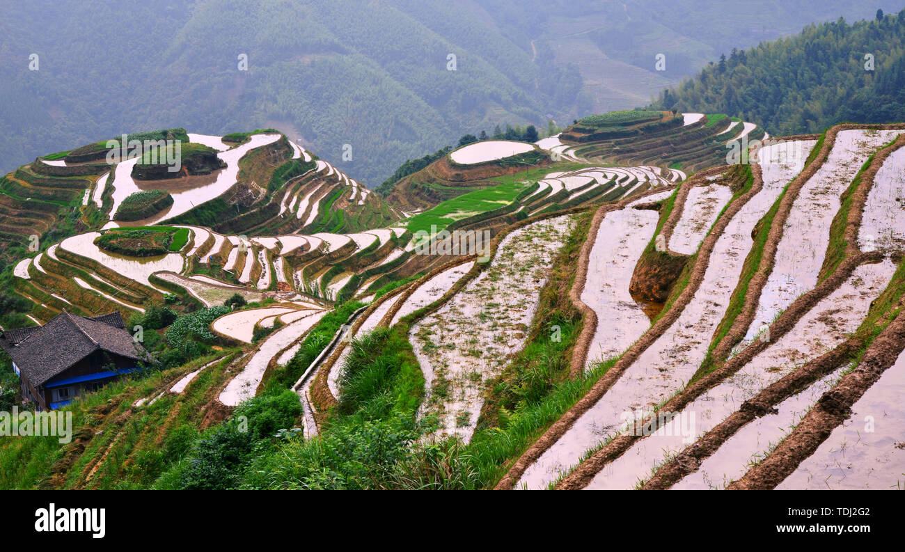 The dragon ridge terraces in Guangxi are picturesque Stock Photo - Alamy