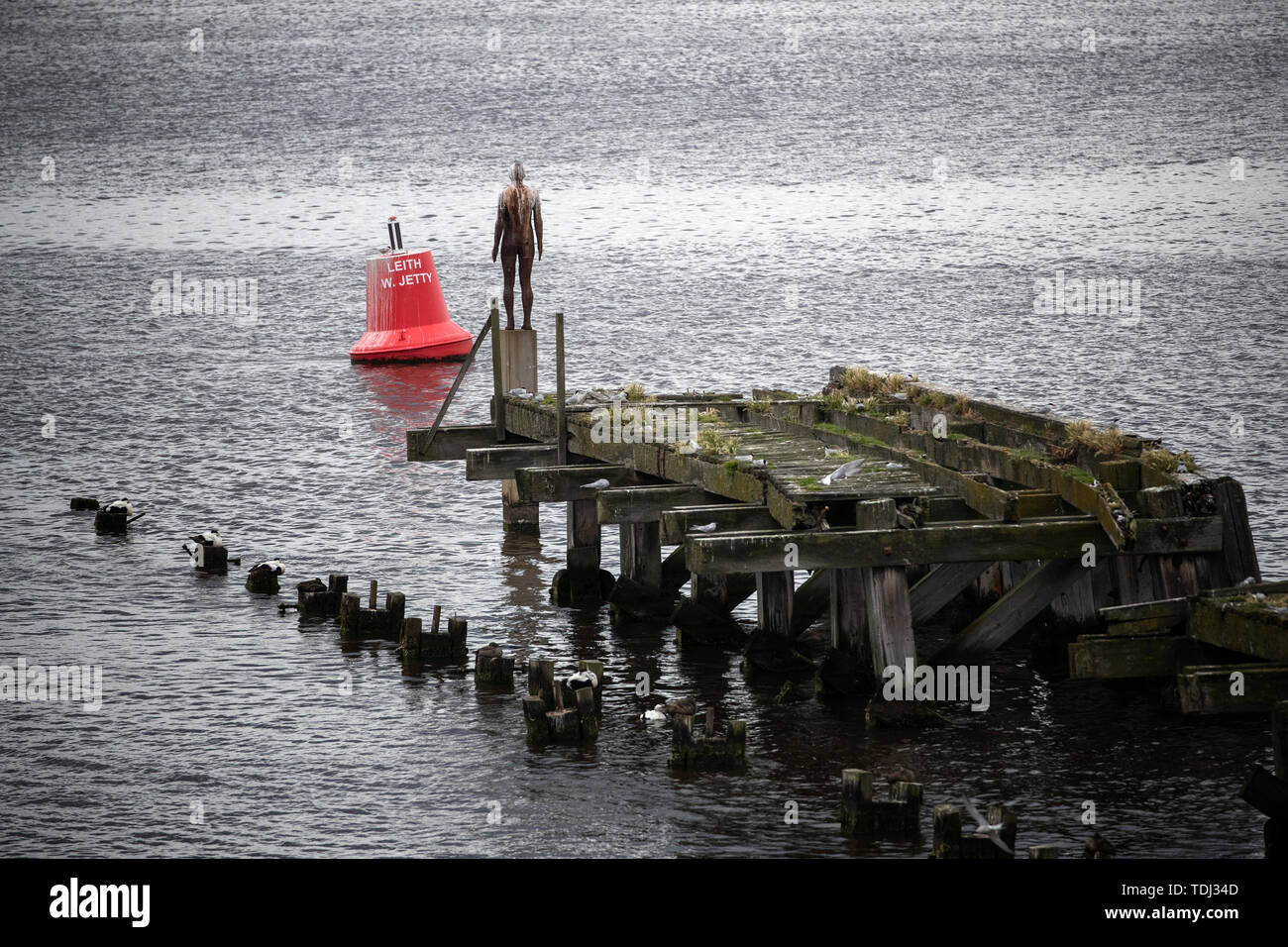 'Leith Docks Man' one of six life-size iron figures by artist Antony Gormley that forms part of the installation '6 Times' which marks out a watery route along Edinburgh's Water of Leith from the Scottish National Gallery of Modern Art to the sea at Leith Docks. Stock Photo