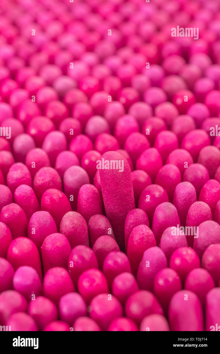 Macro close-up of massed waterproof stormproof emergency matches tightly packed. Metaphor survival skills, crammed, tight squeeze, jostling for space. Stock Photo