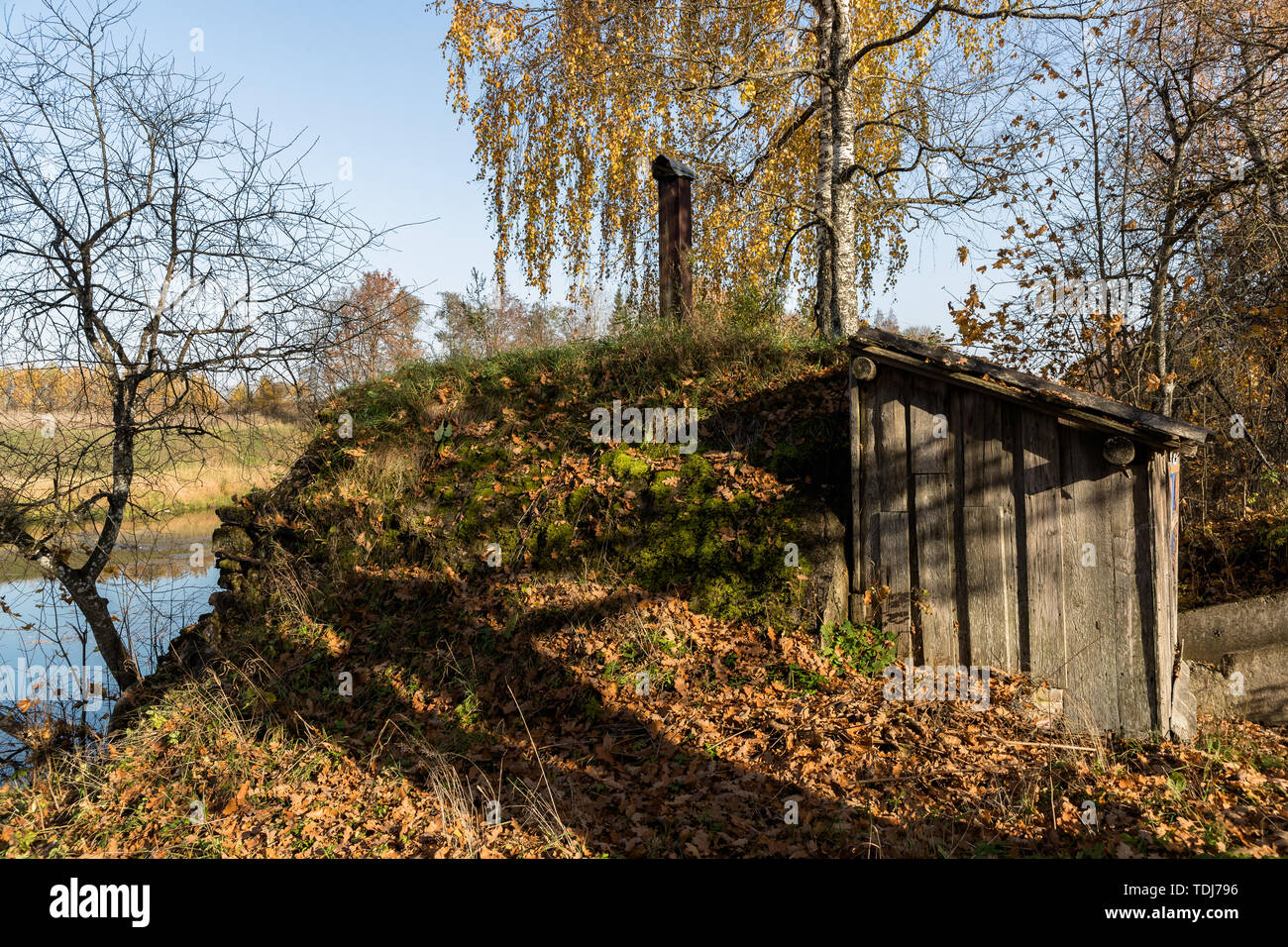 old wooden shed in the forest in the daytime Stock Photo - Alamy