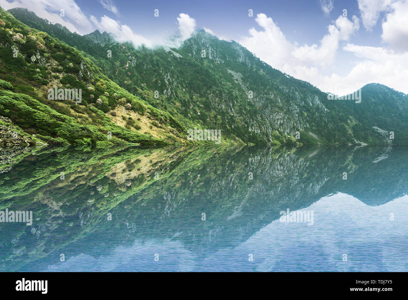 The lake under the blue sky and white clouds Stock Photo - Alamy