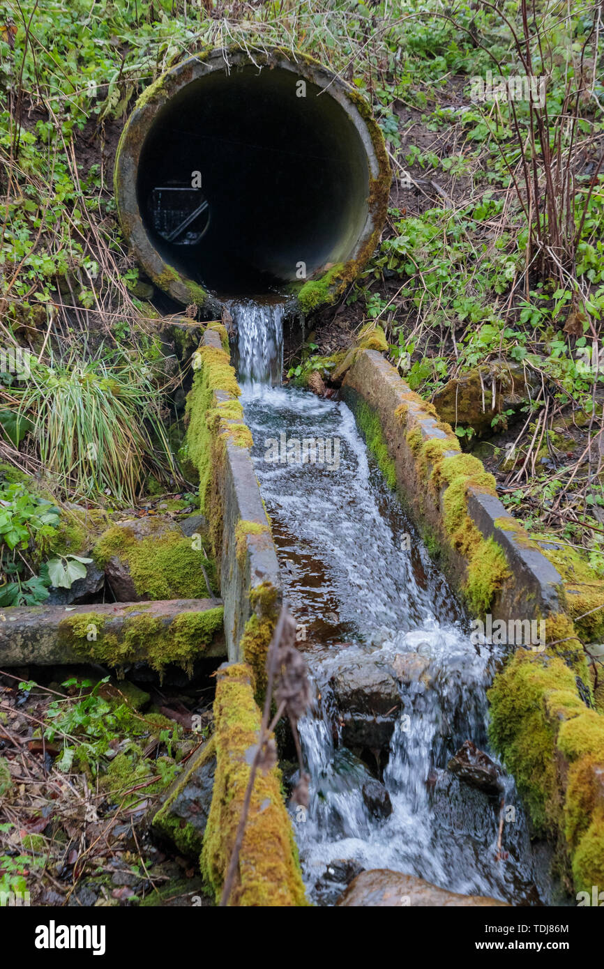 flow of the river through the old drain pipes in the forest in the autumn Stock Photo