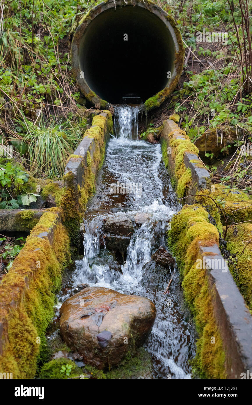 flow of the river through the old drain pipes in the forest in the autumn  Stock Photo - Alamy