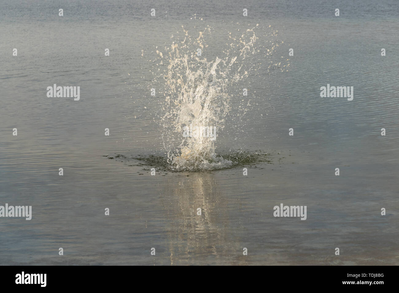 splashes from a stone that fell in the lake during the daytime Stock Photo