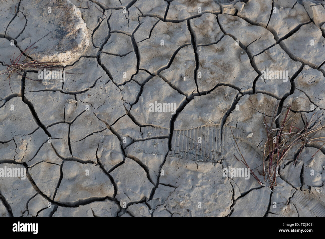 cracked gray and dry earth texture during the daytime Stock Photo