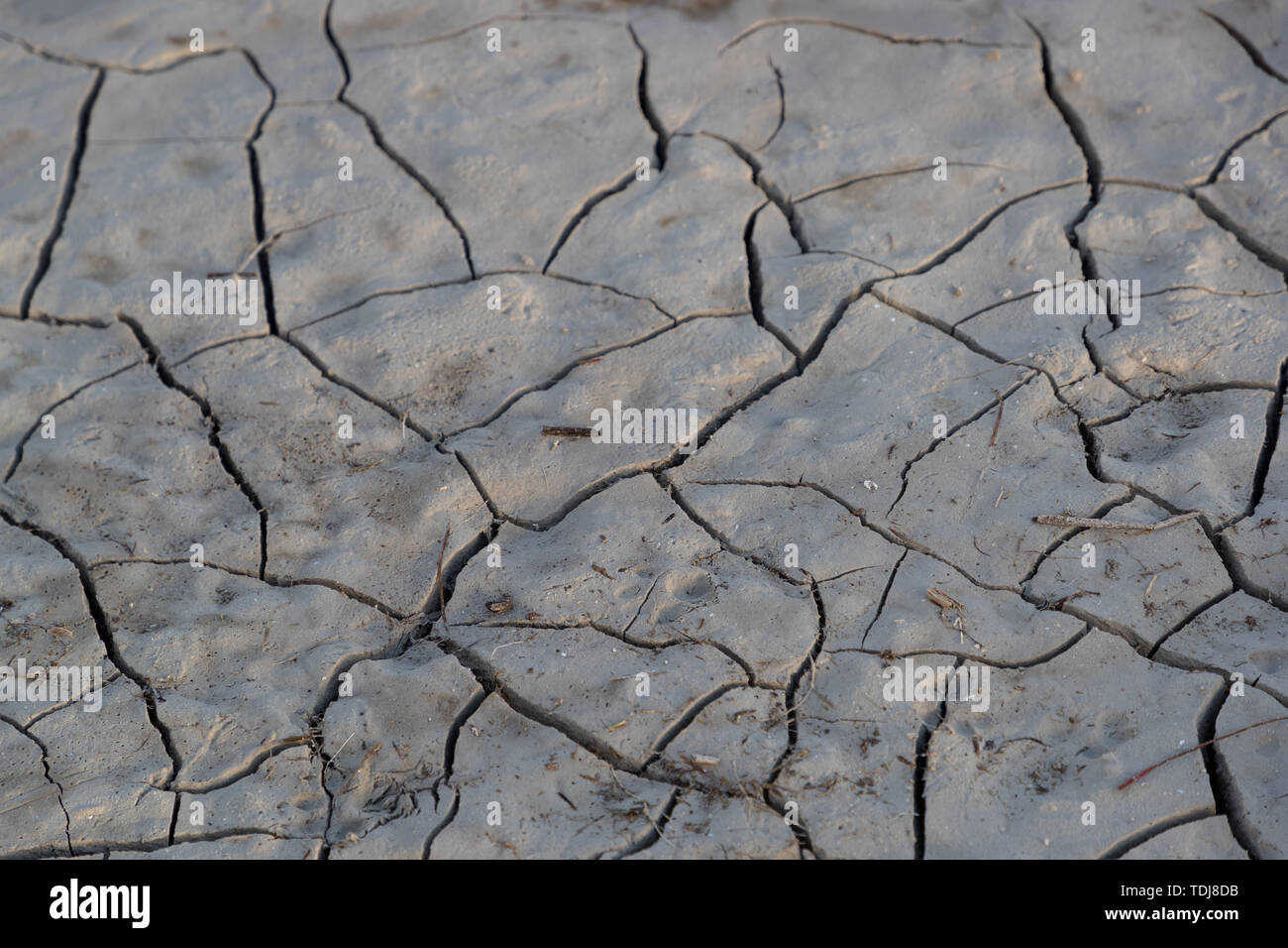 cracked gray and dry earth texture during the daytime Stock Photo