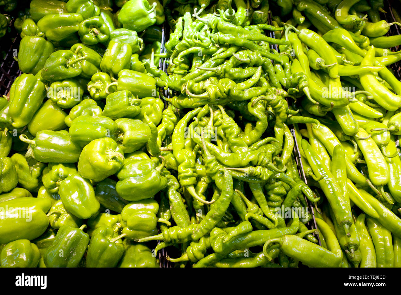 Chili lantern hires stock photography and images Alamy