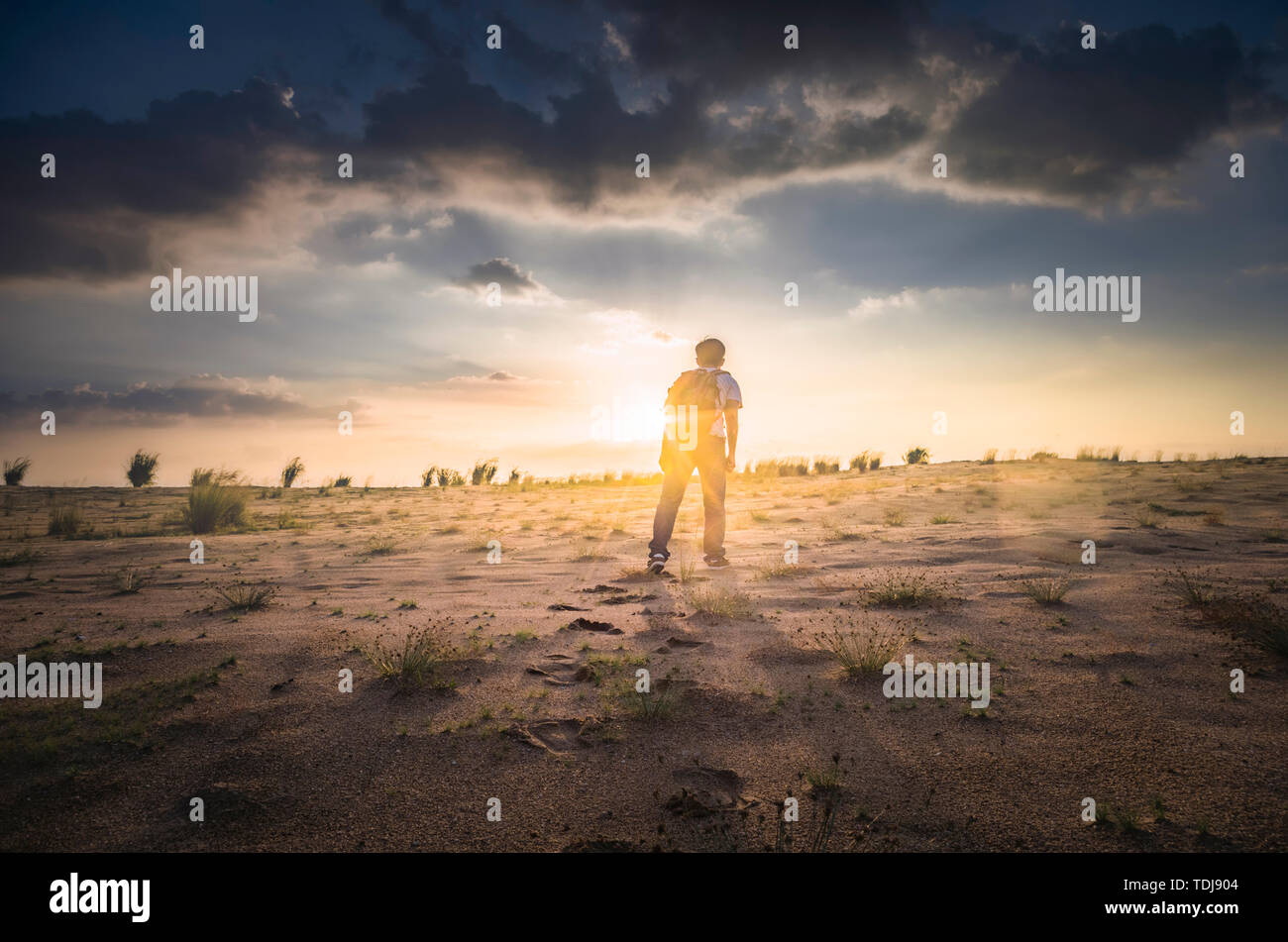 Outdoor desert sunset backlight man alone walking back shadow material Stock Photo