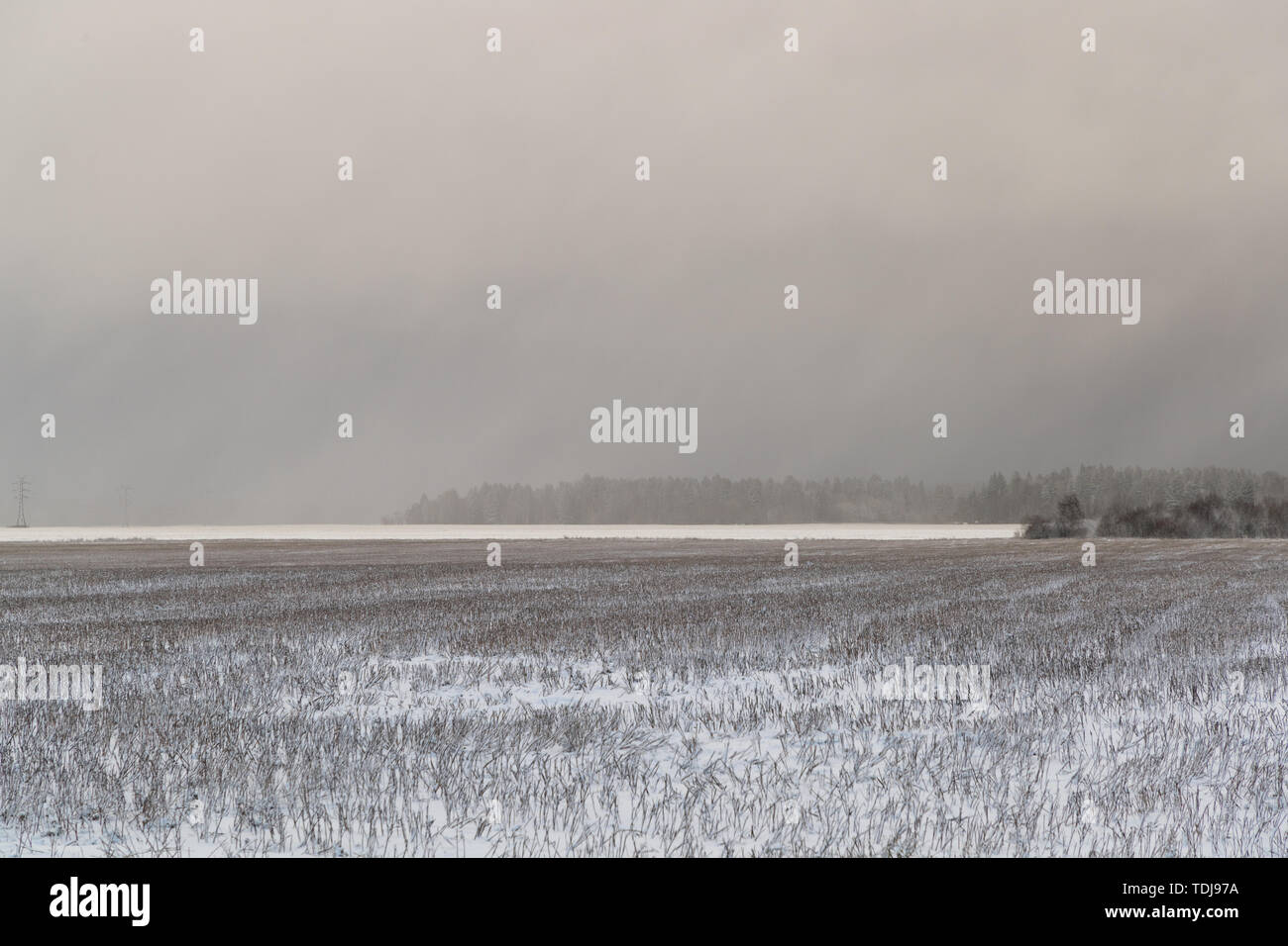 cold and winter landscapes with snow in Russia Stock Photo - Alamy