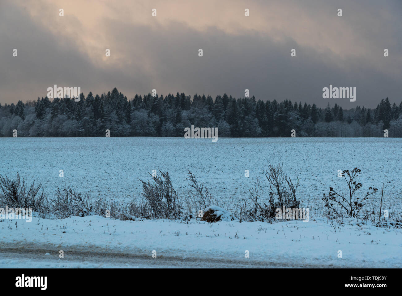 cold and winter landscapes with snow in Russia Stock Photo - Alamy