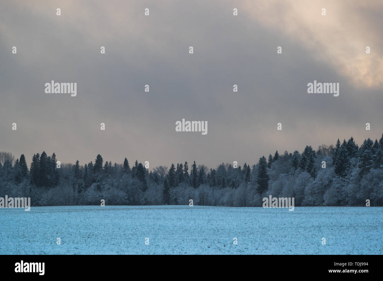 cold and winter landscapes with snow in Russia Stock Photo - Alamy