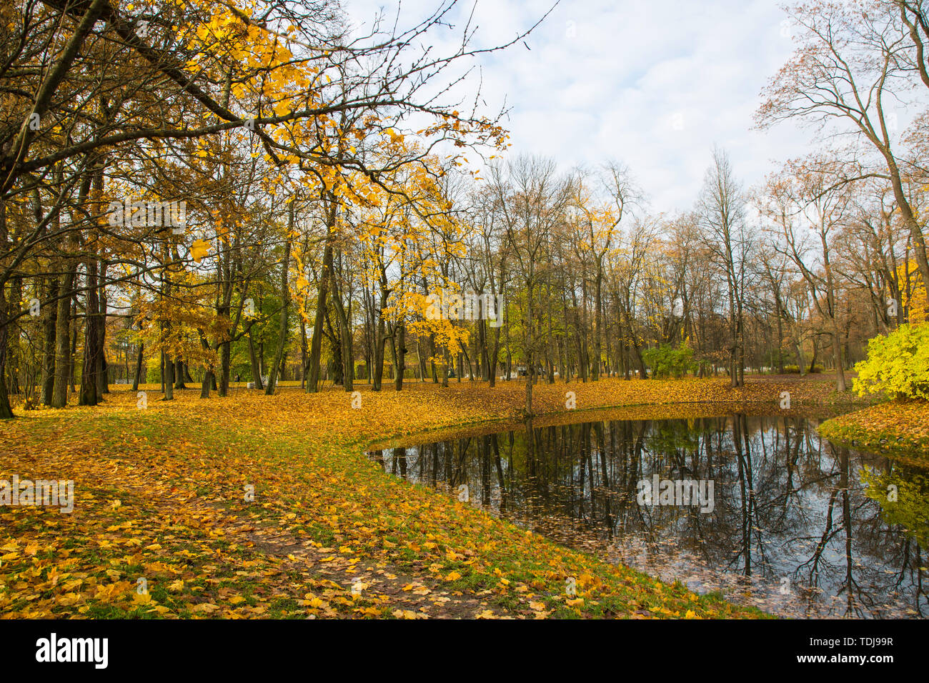 Beautiful golden autumn scenery of the Imperial Village of St. Petersburg Stock Photo