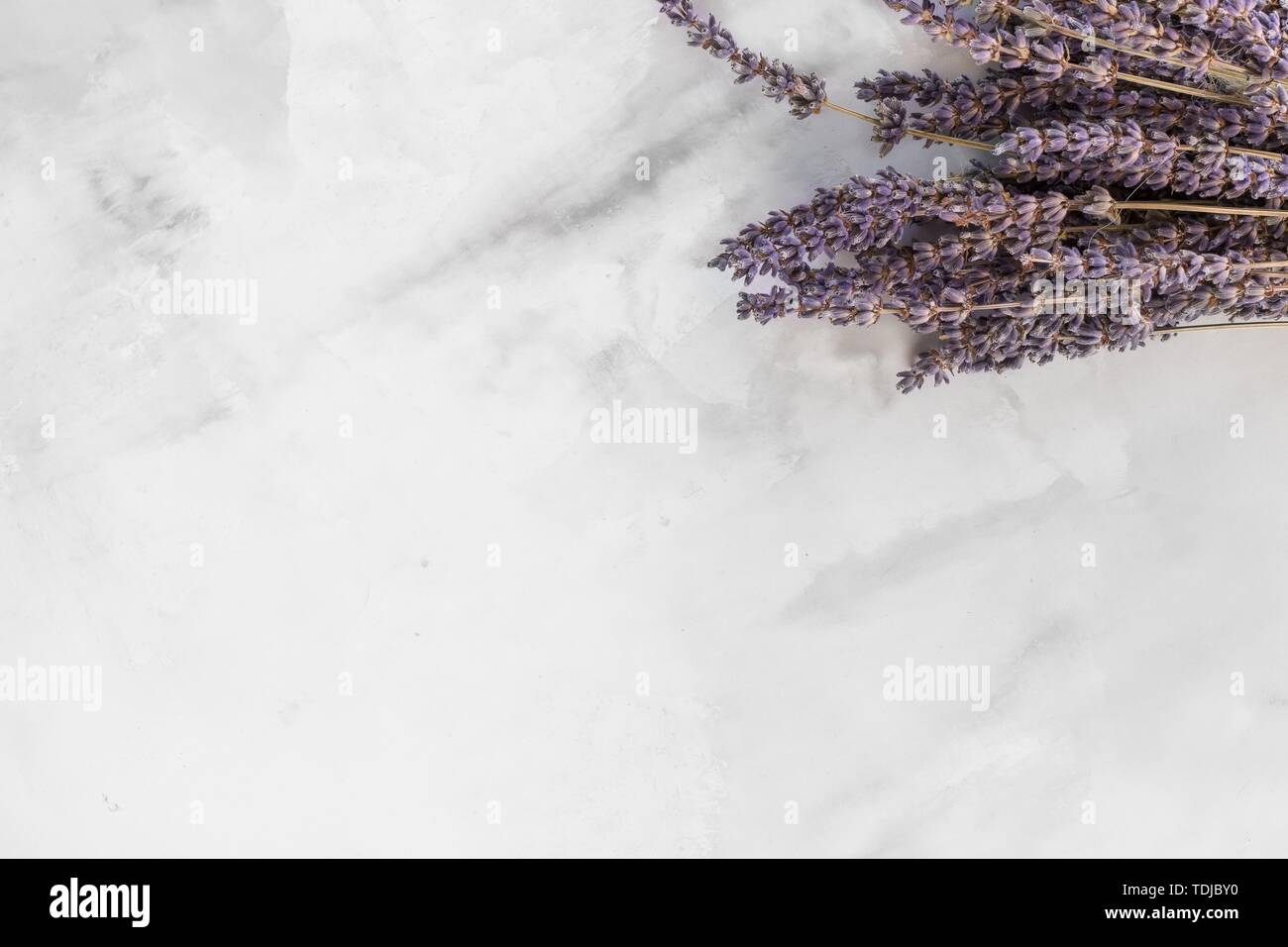 Dried purple lavender flowers laid on a white surface Stock Photo