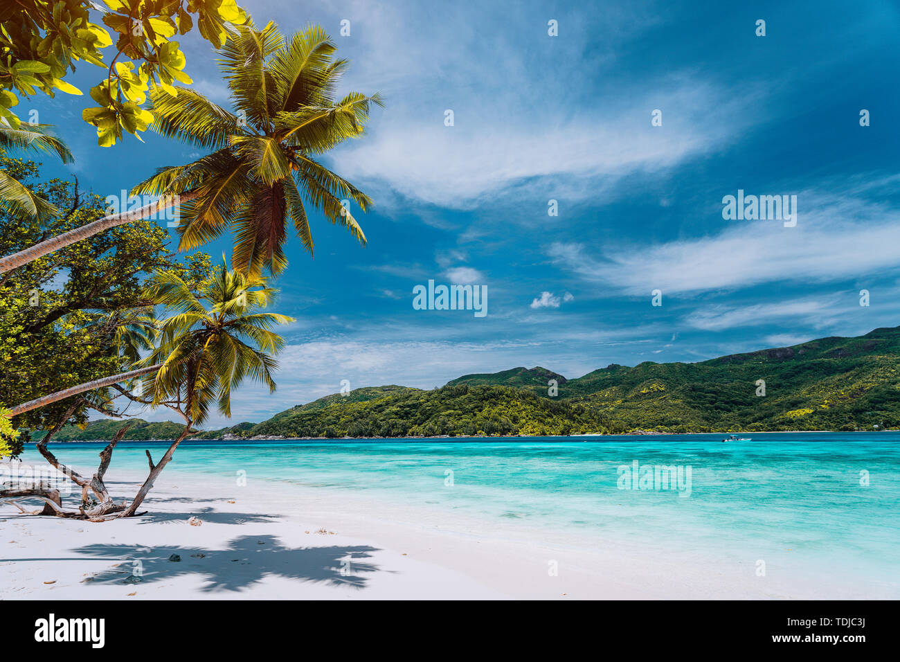 Luxury vacation on tropical island. Paradise beach with white sand and palm trees. Long distance travel tourism getaway concept Stock Photo