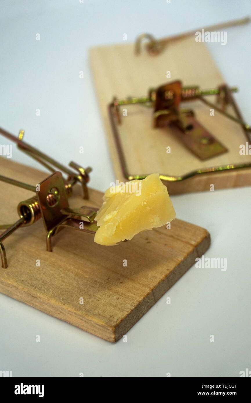 Set mouse trap cheese bait hires stock photography and images Alamy