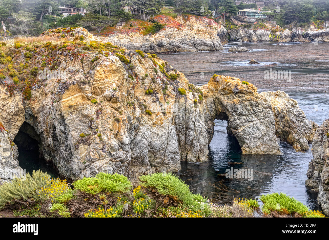 California's Central Coast shows its beauty with promontory covered with native plants and water passages below Stock Photo